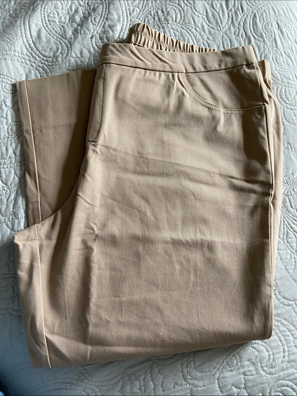 Isaac Mizrahi pull on ankle pants size 24W